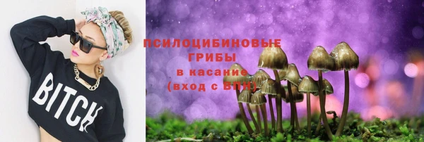 mdpv Заводоуковск