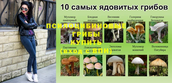 mdpv Заводоуковск