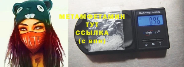 шишки Заволжск