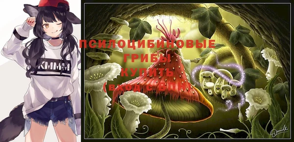 шишки Заволжск