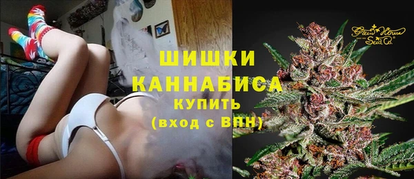 шишки Заволжск
