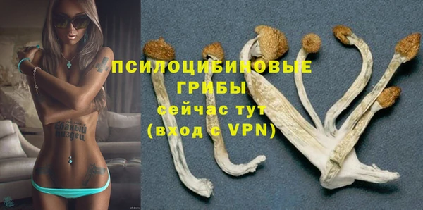 шишки Заволжск