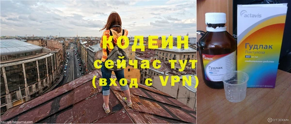 шишки Заволжск