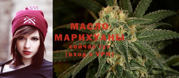 mdpv Заводоуковск