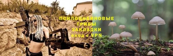 шишки Заволжск