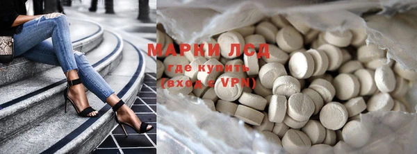 шишки Заволжск