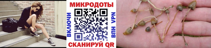 Галлюциногенные грибы Psilocybine cubensis Снежинск