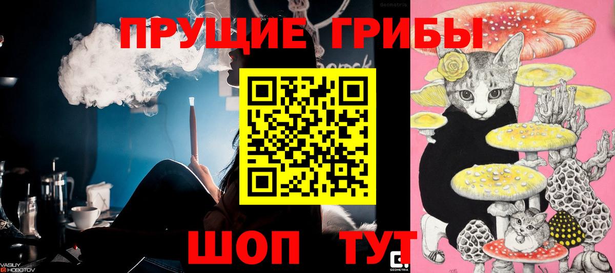 Псилоцибиновые грибы прущие грибы  Вход с VPN  Снежинск  Псилоцибиновые грибы Cubensis 
